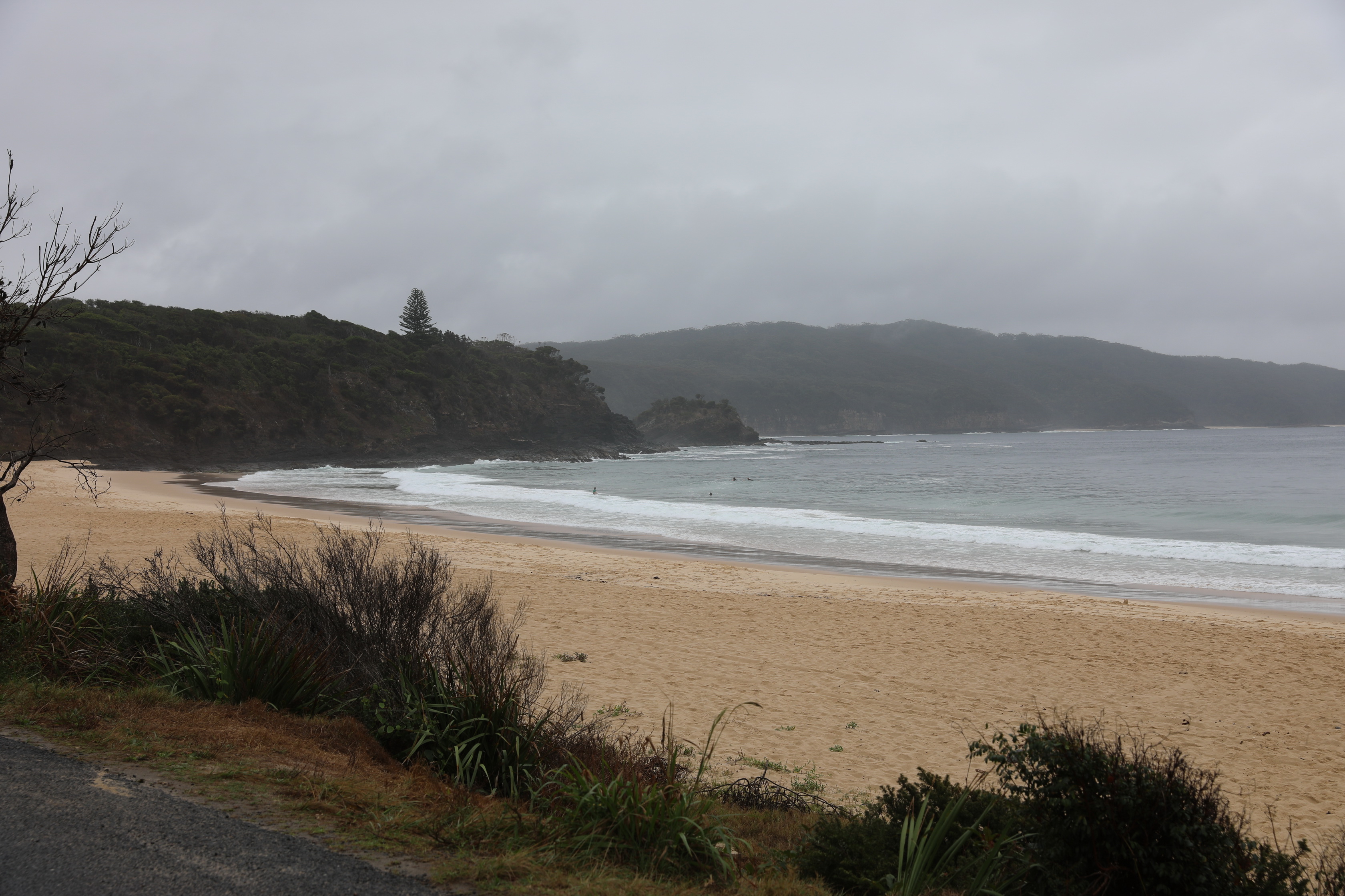 2020 01 11 13 44 18 Canon EOS 5D Mark IV 0005